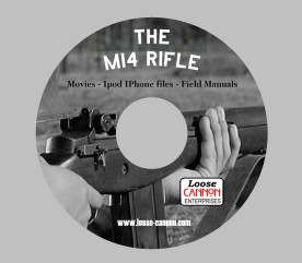 The M-14 disc